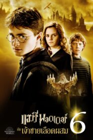 Harry Potter and the Half-Blood Prince (2009)แฮร์รี่ พอตเตอร์ กับ เจ้าชายเลือดผสม
