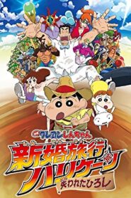 Crayon Shin-chan Honeymoon Hurricane – The Lost Hiroshiクレヨンしんちゃん 新婚旅行ハリケーン ~失われたひろし~