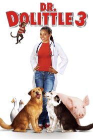 DR. DOLITTLE 3 (2006) ด็อกเตอร์ดูลิตเติ้ล 3 ทายาทจ้อมหัศจรรย์