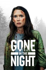GONE IN THE NIGHT (2022) หายไปในราตรี